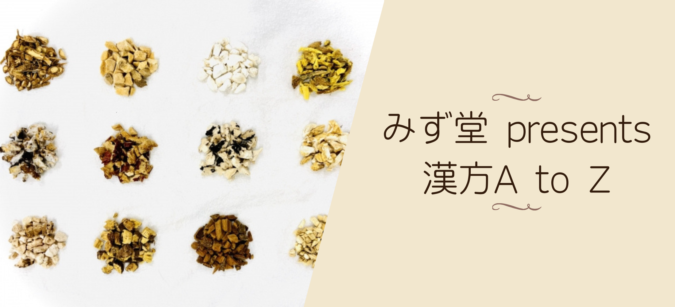 みず堂 漢方A to Z